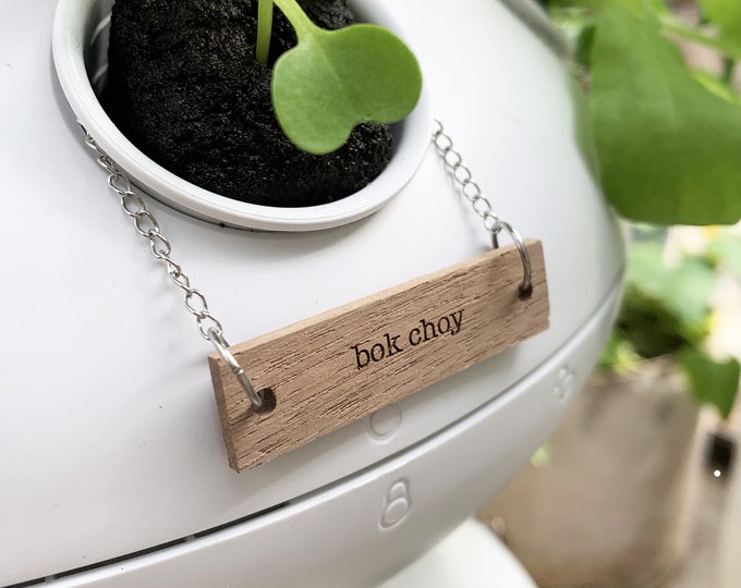 Plant Labels for Lettuce Grow The Farmstand  / Hydroponic Pod Plant Tags / Hanging Plant Tags