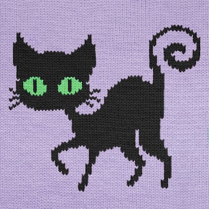 Breitabel grappige zwarte kat | Ideeën voor Halloween-knutsels | Grote groene ogen | Eenvoudig en snel pdf-patroon | Cadeau kattenliefhebber | Digitale download