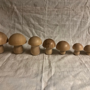Ciieeo 9 Pcs Unfinished Wooden Mushroom Wooden Mushroom Set Natural Wooden  Mushrooms for Arts and Crafts Projects Decoration and More DIY Paint Color