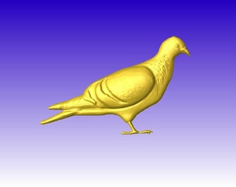 Pigeon or Dove Vector Relief Model