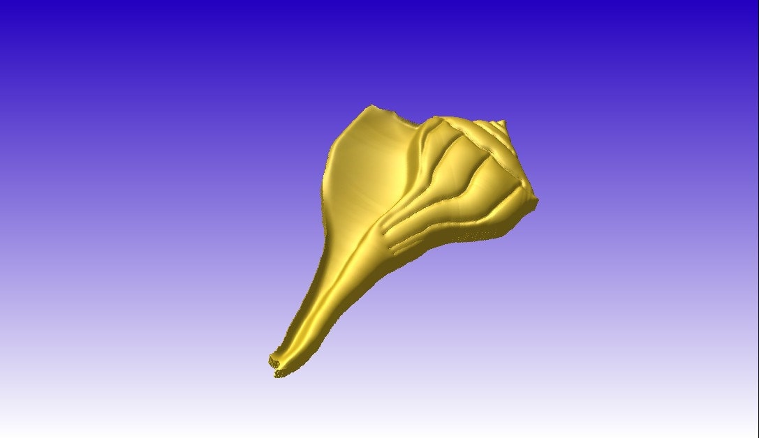 3d Sea Shell Cnc Router Sea Shell No. 2 Vector Relief Model for Cnc Router Projects or as 3D ...