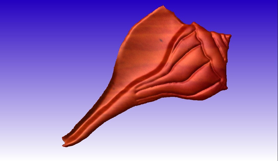 3d Sea Shell Cnc Router Sea Shell No. 2 Vector Relief Model for Cnc Router Projects or as 3D ...
