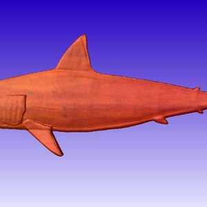 Shark 3d Vector Art Model for cnc projects or carving patterns in stl file format image 3