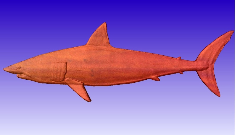 Shark 3d Vector Art Model for cnc projects or carving patterns in stl file format image 3