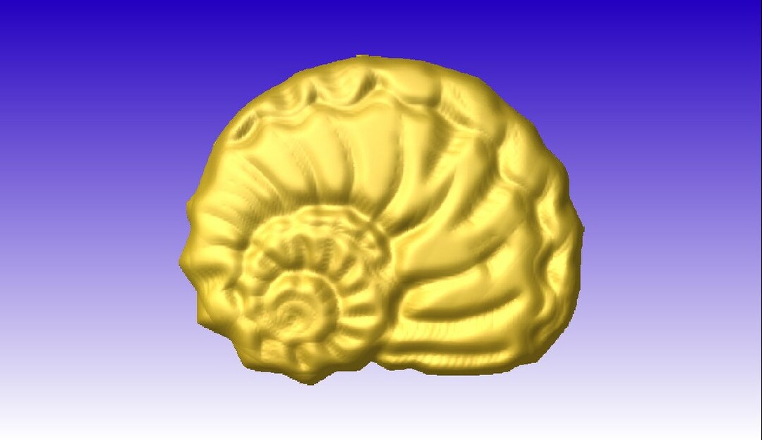 3d Sea Shell Cnc Router Sea Shell No.1 Vector Art Relief Model for Cnc Router Projects or 3D ...