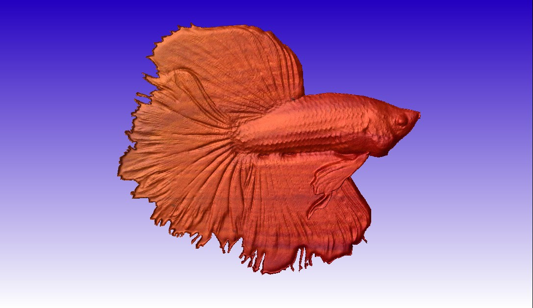 Beta Fish 3D Vector Relief Model for Cnc Router Projects or Sign ...