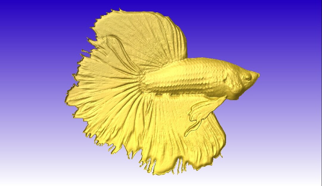 Beta Fish 3D Vector Relief Model for Cnc Router Projects or Sign ...