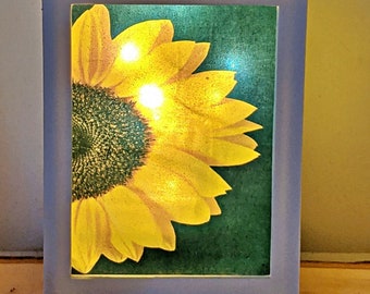 May include: White lantern with a sunflower design on the front. The lantern has a clear glass panel and a white metal frame. The sunflower is yellow with a green center and is illuminated by a light inside the lantern.
