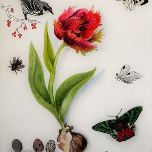 Arte originale, fiori ad acquerello, acquerello originale, acquerello botanico, arte originale, acquerello tulipano pappagallo, pittura contemporanea