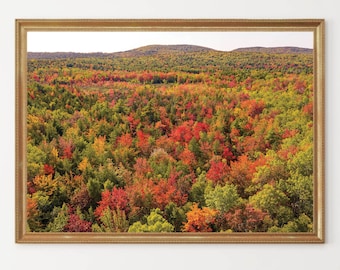 Fall Foliage in Maine Photograph | Fall Trees Acadia National Park | East Coast Autumn Colors | Fall Color in Maine Printed Photo