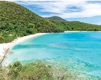 May include: A white sand beach with clear turquoise water and lush green hills in the background.