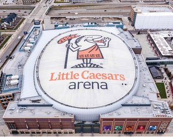 Detroit Red Wings Earrings Joe Louis Arena Little Caesars Arena
