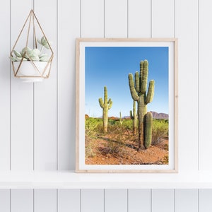 Kaktus Druck, Arizona Wüste Fotografie | Wüste Botanischer Garten Saguaro Kaktus Wandkunst | Phoenix Arizona Kaktus Drucke | Wüste Druck