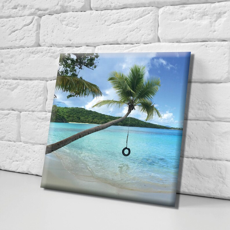 Oppenheimer Beach Tire Swing St John USVI Beach Photography Etsy