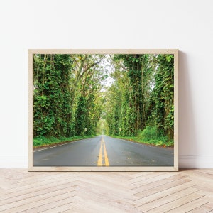 Art mural photographie arbre tunnel Kauai, The Koloa Heritage Trail Hawaii Photo, Kauai Fine Art Wall Decor tunnel d'arbres Maluhia Road