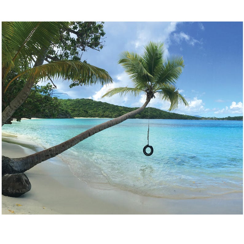 Oppenheimer Beach Tire Swing St John USVI Beach Photography Etsy