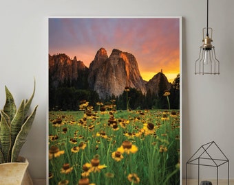 Yosemite National Park Sunset Photo Print, Sunflowers in Yosemite Meadows Wall Art, El Capitan at Sunset, Yosemite Wall Decor, California