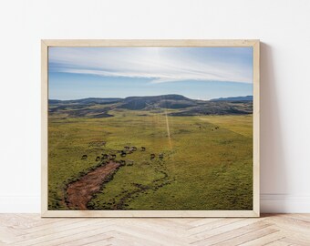 Icelandic Horses in Field, South Iceland Wildlife Photo, Iceland Photography, Horses in Iceland in Krýsuvík, Wall Art Print, Wall Decor Farm