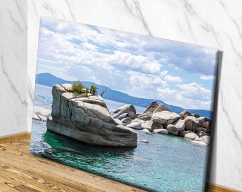 Arte de pared en lienzo con bonsái de South Lake Tahoe / Decoración de pared con bonsái de South Lake Tahoe / Decoración de pared en lienzo con bonsái de South Lake Tahoe