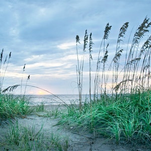 Blue Heron Beach
