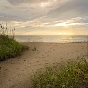 Blue Heron Beach 04