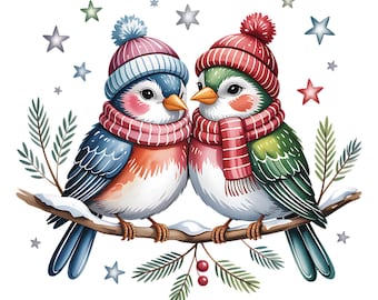 16 Clipart di uccelli natalizi ad acquerello, grafica PNG di alta qualità per uccelli invernali festosi e stravaganti.