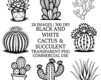 28 Black and White Cactus & Succulent Clipart Bundle PNG, Botanical Cacti Line Art, Hand-drawn Desert Flower, Floral Sublimation Designs