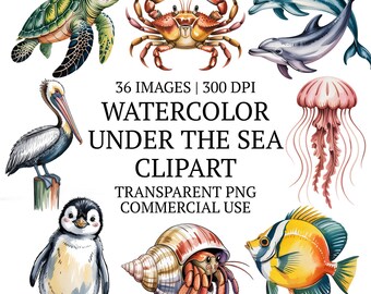 水彩画の海のクリップアートバンドルPNG、かわいい海の生き物のクリップアートグラフィック、高品質の水中動物、居心地の良い海の生活