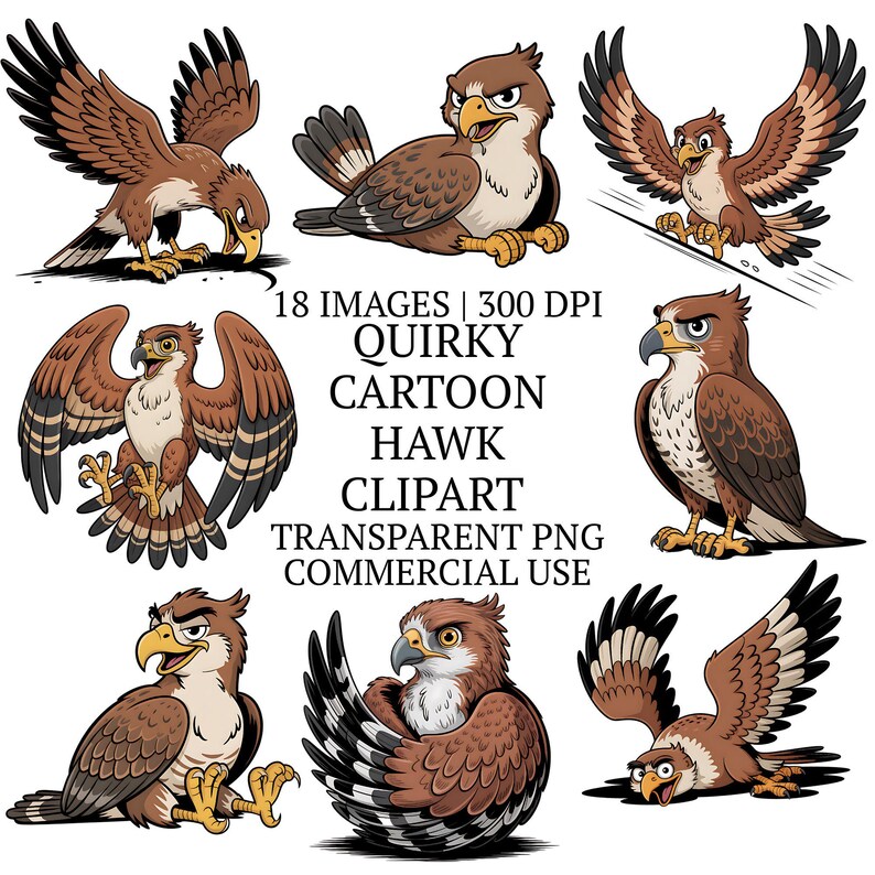 Hawk Expression 18 Quirky Cartoon Hawk Clipart Bundle PNG, Whimsical Birds Clip Art ...
