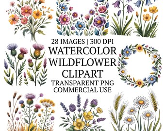 Cozy Watercolor Wildflower Clipart Bundle PNG, 28 Floral Illustrations, Sublimation Graphics, Elegant Botanical Flowers Clip Art Set