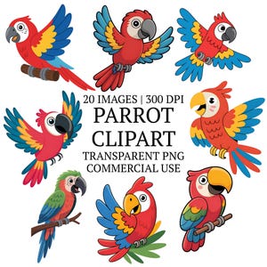 Paquete de 20 imágenes prediseñadas de loros de dibujos animados PNG, imágenes prediseñadas con fondo transparente, ilustraciones artísticas de aves tropicales, descarga digital, uso comercial