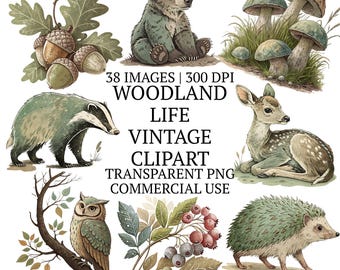 Woodland Life Vintage Clipart Bundle PNG, Forest Creatures Clip Art, Animal Nursery Decor Bear, Owl, Deer Digital Download, Commercial Use