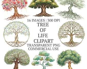 Pacchetto di clipart PNG con albero della vita ad acquerello con radici, 16 grafiche di alberi genealogici di alta qualità, illustrazione botanica della natura carina e stravagante