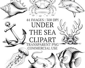 かわいい海中クリップアートバンドルPNG、白黒の海の生き物のクリップアートグラフィック、高品質の水中動物、海洋生物