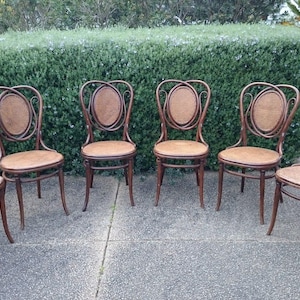 RARE...6 Antique No 22  'Thonet' bentwood and Ratan dining chairs..