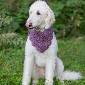 Aanpasbare gehaakte huisdierbandana, huisdieraccessoires, hondenbandana, hondenoutfit, hondenhalsband, handgemaakt huisdiercadeau