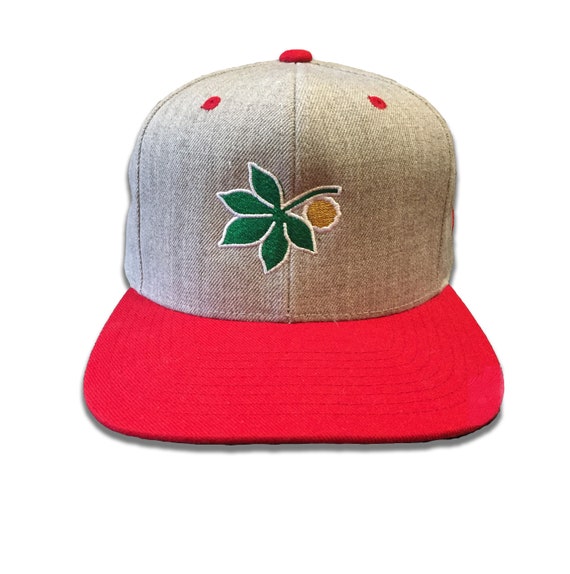 ohio state snapback