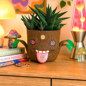 Può includere: Un'eccentrica fioriera marrone a forma di albero con un volto, contenente una pianta succulenta verde. Il vaso ha una lingua e decorazioni colorate. Sono visibili anche una statuina a forma di fungo e dei libri.