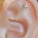 see more listings in the Cartilage,Helix,Rook, section