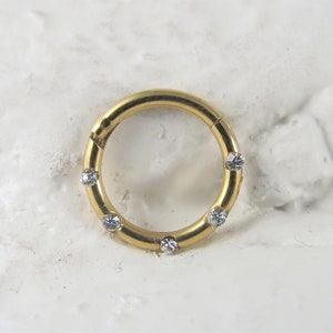 Gold Daith Piercing,Septum Piercing Hinged Segment Surgical Steel Hoop Ring..16g..8mm