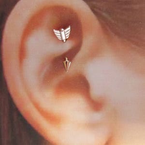 Rose Gold Plated Rook Piercing Arrow Curved Barbell..16g..8mm