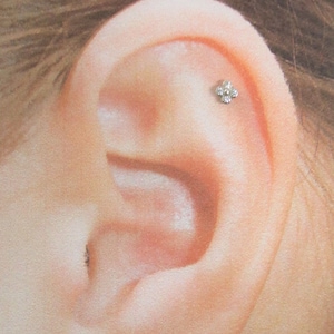 Piercing Helix 4 anneaux en or blanc massif 14 carats, lunette, labret, 16 g, 6 mm