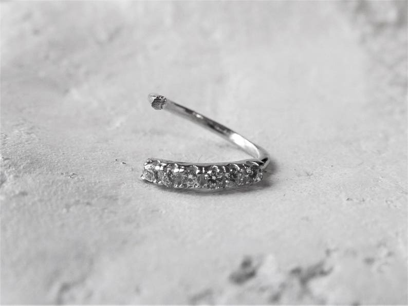 May include: A silver nose ring with a row of small clear rhinestones.
