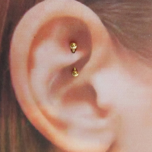 Rook Piercing Jewelry Titanium COCHARM Cute Flower Rook Earrngs