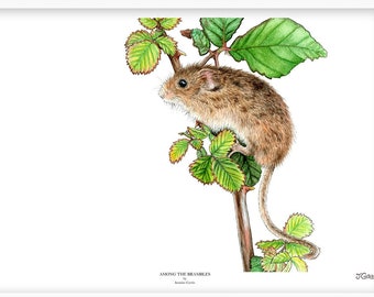 Harvest Mouse Art Print, British Wildlife, Cute Mouse Art, Animal Art, Nature Lover Gift, Country Prints, Farmhouse Decor, A5/A4/A3 Print