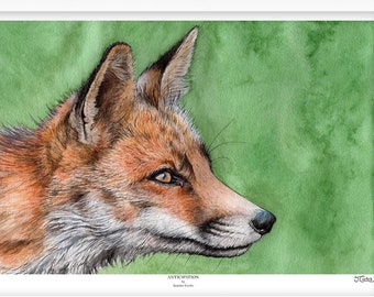 Fox Art Print, British Wildlife Art, Fox Lover Gift, Woodland Wildlife, Fox Painting, Wildlife Wall Art, Animal Art Painting, A5/A4/A3 Print