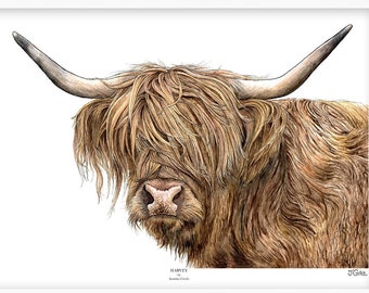 Highland Cow Art Print, Farm Animal Art, Scottish Wildlife, Scottish Highland Cow, Hairy Cow, Cow Wall Art, Farmhouse Decor, A5/A4/A3 Print