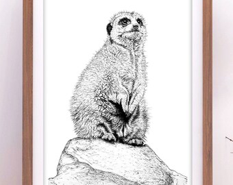 Meerkat Art Print, Meerkat Drawing, Cute Animal Art, Meerkat Illustration, Meerkat Wall Art, Wildlife Art, Animal Art Print, A5/A4/A3 Print