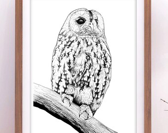 Owl Art Print, Owl Drawing, Wildlife Illustration, Black & White Animal Art, Bird Art Print, British Wildlife, Owl Wall Art, A5/A4/A3 Print