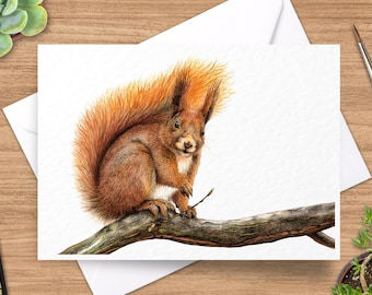 Red Squirrel Greeting Card, Squirrel Card, 5 x 7 Card, Wildlife Greeting Card, Animal Card, Wild Animal Card, Blank Inside, Wildlife Card